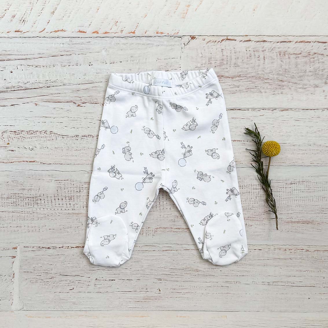 Pantalón Elefante Celeste