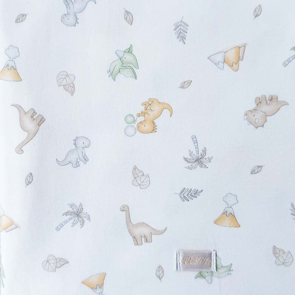 Manta Dinos